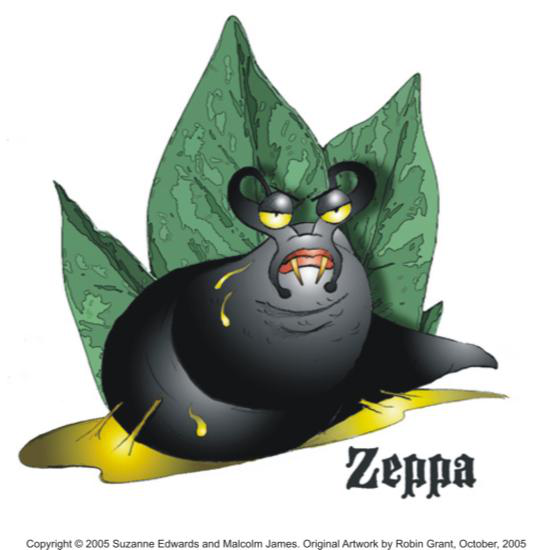 Zeppa character