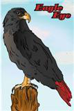 Eagle Eye character