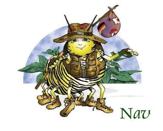 Nav character